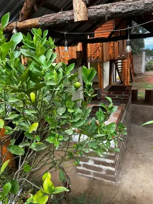 Plano de Cabaña nueva luna