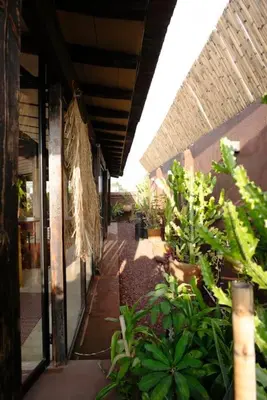 Jardín al aire libre en Rooftop Glass House in Old Town