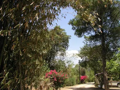 Jardín al aire libre en El Rincón de San Agustín Etla