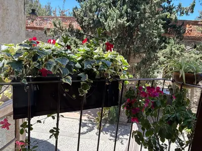 Jardín al aire libre en Carrara: Armonía, Lujo y Confort en ValQuirico