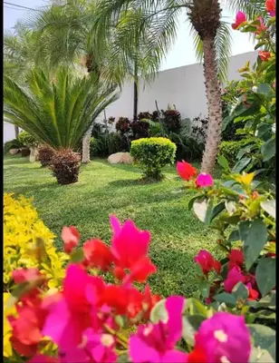 Jardín al aire libre en Casa Jarana