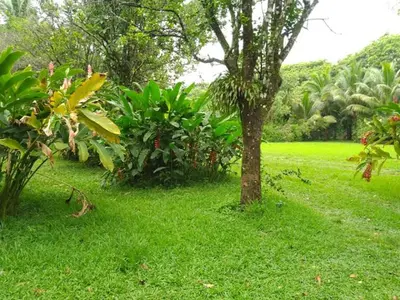 Jardín al aire libre en Cascada el tucan