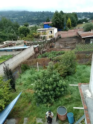 Plano de Leoncyn place