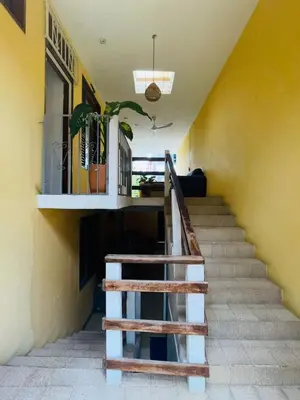 Plano de Casa Laura