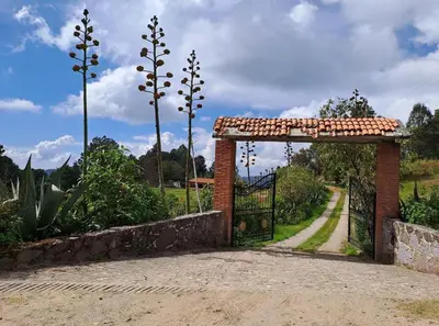 Plano de Cabañas Montebello