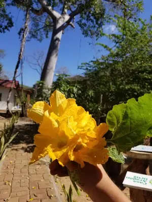 Jardín al aire libre en Casa Aragón Ortíz