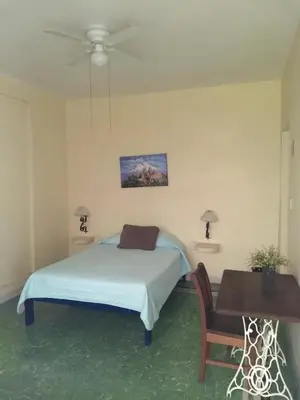 Cama o camas de una habitación en Hotel Suites Córdoba