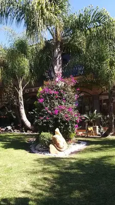 Plano de Campamento Hermoso Natural en Puebla