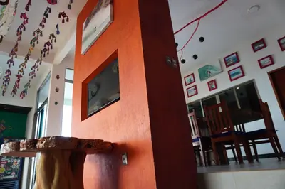 Plano de Casa lunacoral