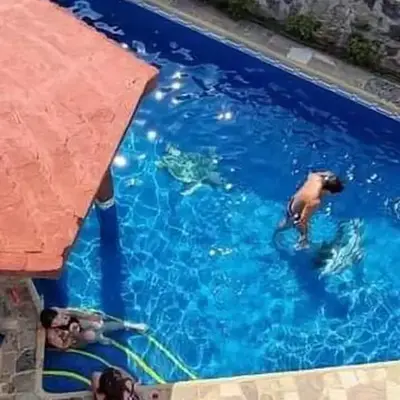 QUINTA Brisas