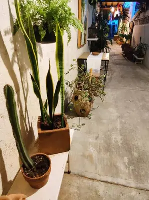 Plano de The azul flat room