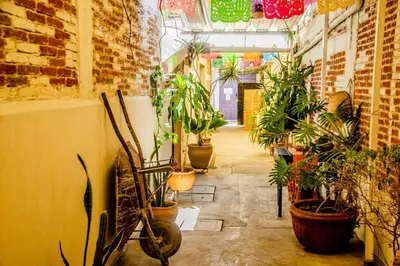 Jardín al aire libre en The Green Loft, Oaxaca Centro