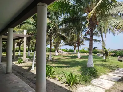 Jardín al aire libre en Playa Encantada