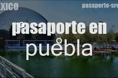 Certificado, premio, señal o documento que está expuesto en La Casita de Juana Pancha