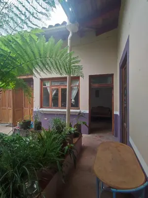 Jardín al aire libre en Casa Morfo Cultura