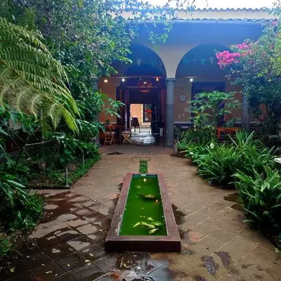 Casa Morfo Cultura