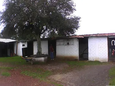 Edificio en el que se encuentra la casa o chalet