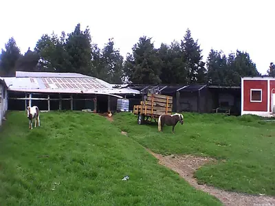 Jardín al aire libre en Casa Principal Vintage Rancho El Plantel