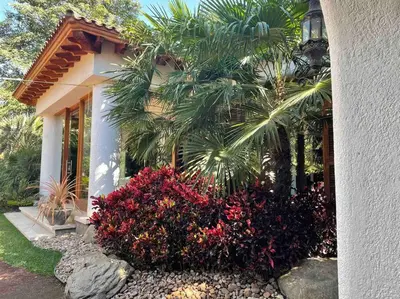 Jardín al aire libre en Bilbao Luxury Bungalow