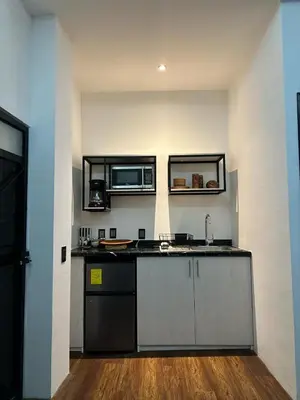 Una cocina o zona de cocina en Casa Don José TULIPANES Suite