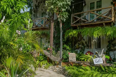 Jardín al aire libre en Hotel Casa Lasibe Café