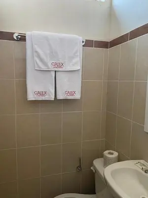 Un baño de Galex Hotel Posada
