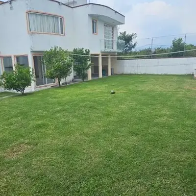 El rinconcito de Allison