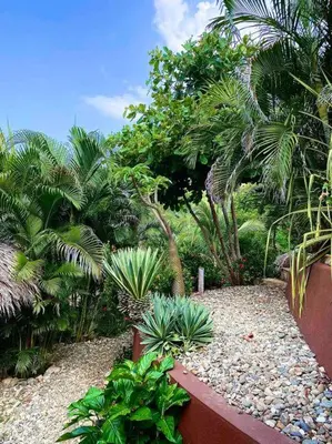 Jardín al aire libre en Cabaña 2 El Cactus Playa Mermejita