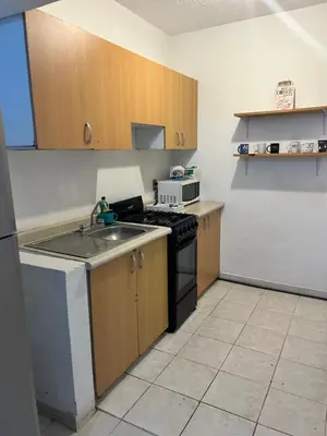 Una cocina o zona de cocina en Departamento Economico Arroyo