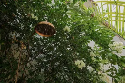 Jardín al aire libre en Casa Verde Alberca Jardin Diseno Ubicacion AC