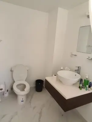 Un baño de Departamento Moderno y Cómodo
