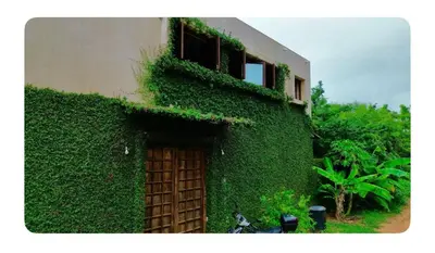Jardín al aire libre en Casa Huizache