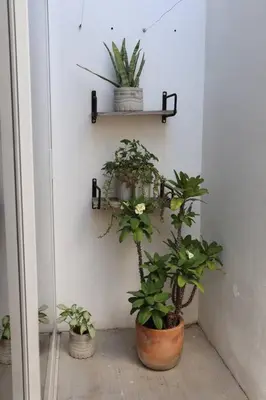 Plano de Casa Primavera