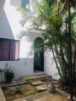 Jardín al aire libre en Geranios