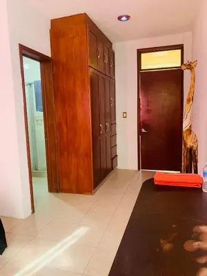 Plano de Geranios