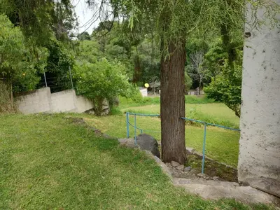 Jardín al aire libre en Casa Tlaco