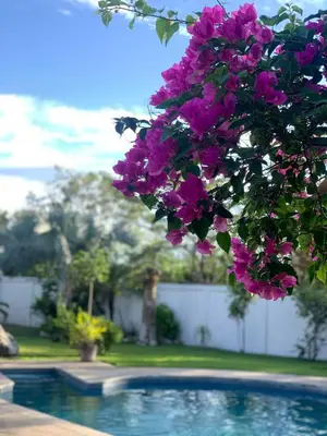 Piscina en o cerca de Quinta Araucarias