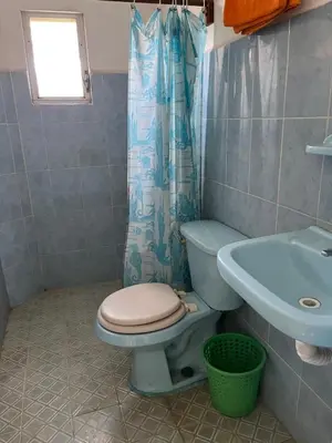Un baño de Cabañas Edda