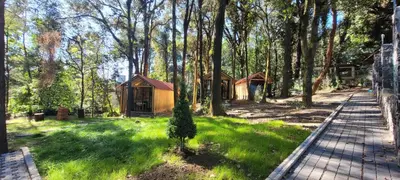 Jardín al aire libre en Cabañas Vive el Bosque