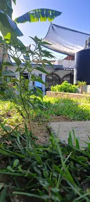 Jardín al aire libre en Ozeli Hostel