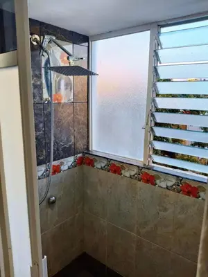 Un baño de Vista a la isla