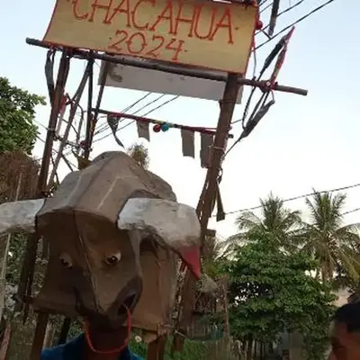 Doña alba