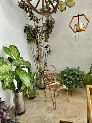 Plano de Casa matamoros