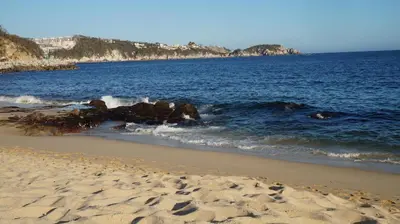 Plano de Casa QI