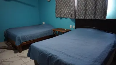 Plano de Casa QI