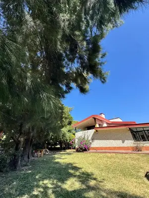 Jardín al aire libre en Santuario Providencia