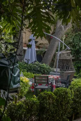 Jardín al aire libre en EL DOMO jardín en Coyoacán