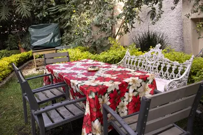 Jardín al aire libre en EL DOMO jardín en Coyoacán