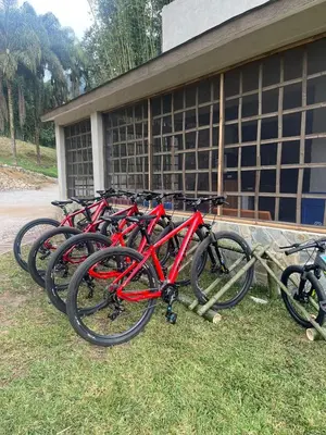 Montar en bicicleta en Boscana Forest Resort & Residence o alrededores