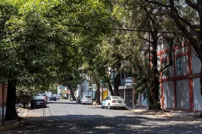 El barrio de los alrededores o un barrio cerca de este apartamento